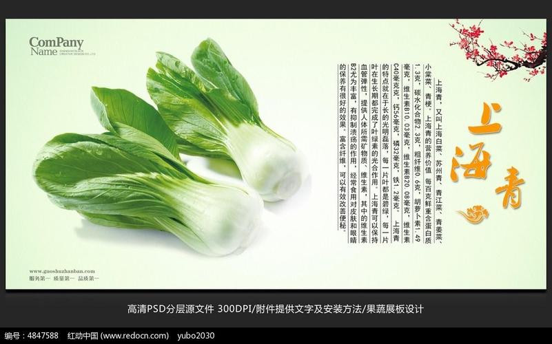 蔬菜展板设计上海青海报招贴广告设计图片